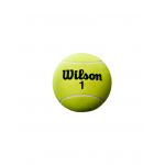 WILSON ROLAND GARROS 5 MINI JUMBO <br /> teniso kamuoliukas